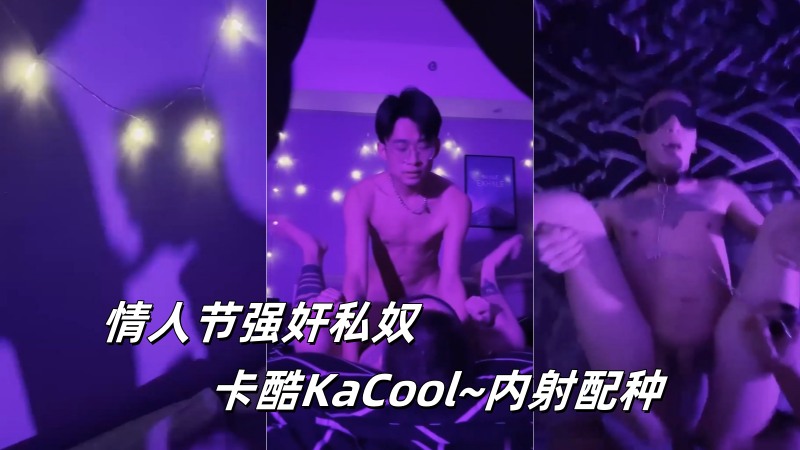 子墨大魔王：情人节强奸私奴 卡酷KaCool~内射配种 国产免费-第1张