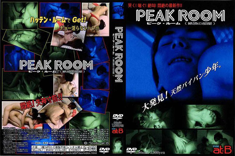 PEAK ROOM 中年胖熊-第1张