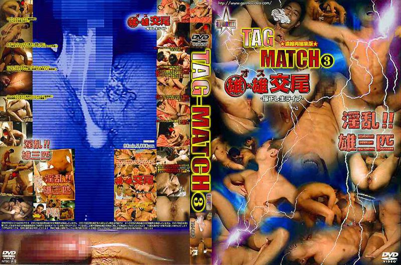 TAG-MATCH 3 TM-003 中年胖熊-第1张